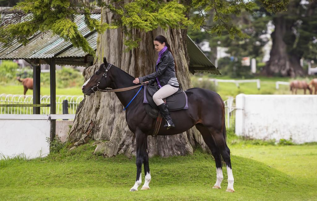 Hill Rise Luxury Villa & Stables By Edwards Collection ヌワラ・エリヤ エクステリア 写真