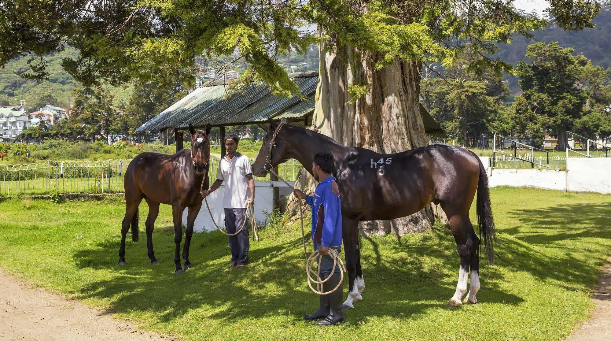 Hill Rise Luxury Villa & Stables By Edwards Collection ヌワラ・エリヤ エクステリア 写真